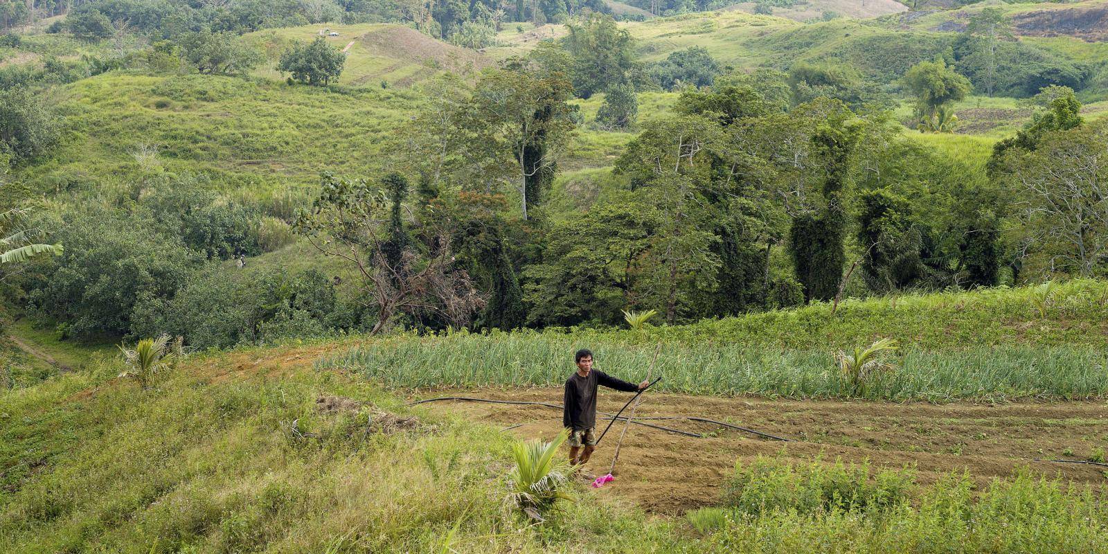 Image of farmer in field in Cotabato Province, the Philippines