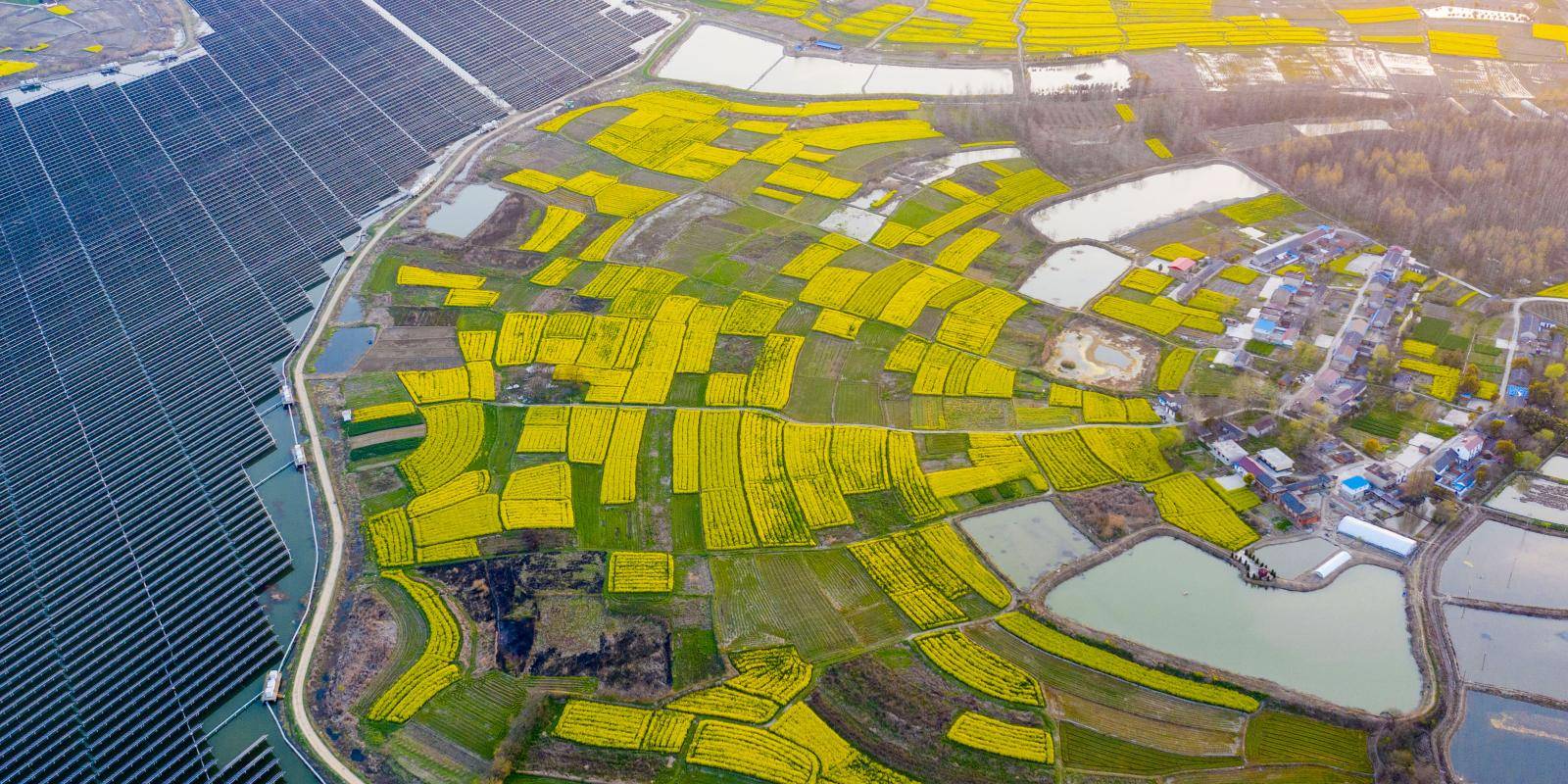 Solar-fishery plant in China