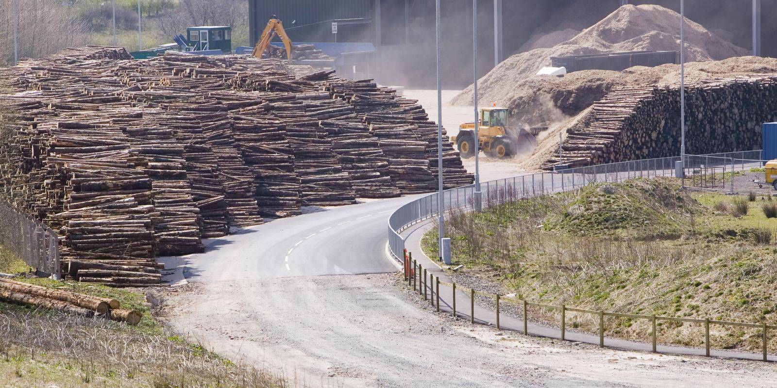 Bioenergy facility for power generation, Scotland