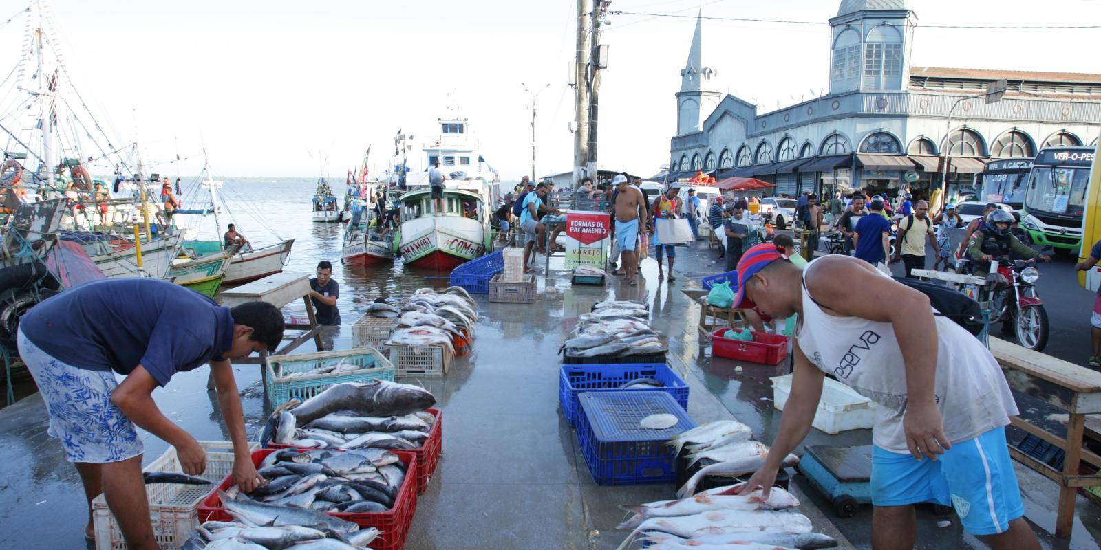 Workers arranging boxes of fish on the quayside outside a historic market building