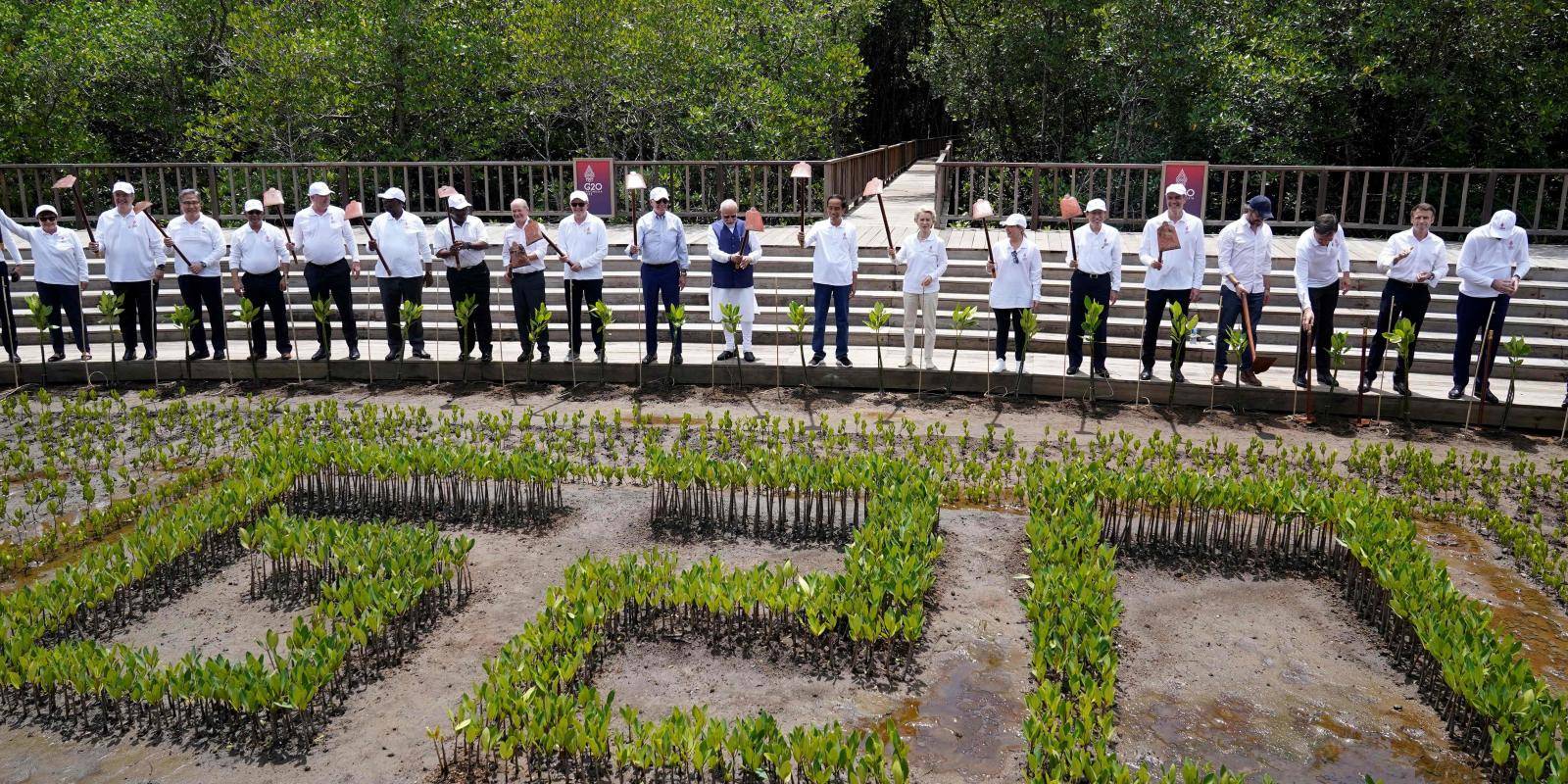 G20 leaders at a tree-planting event on the sidelines of the G20 summit in Bali, Indonesia, November 2022.