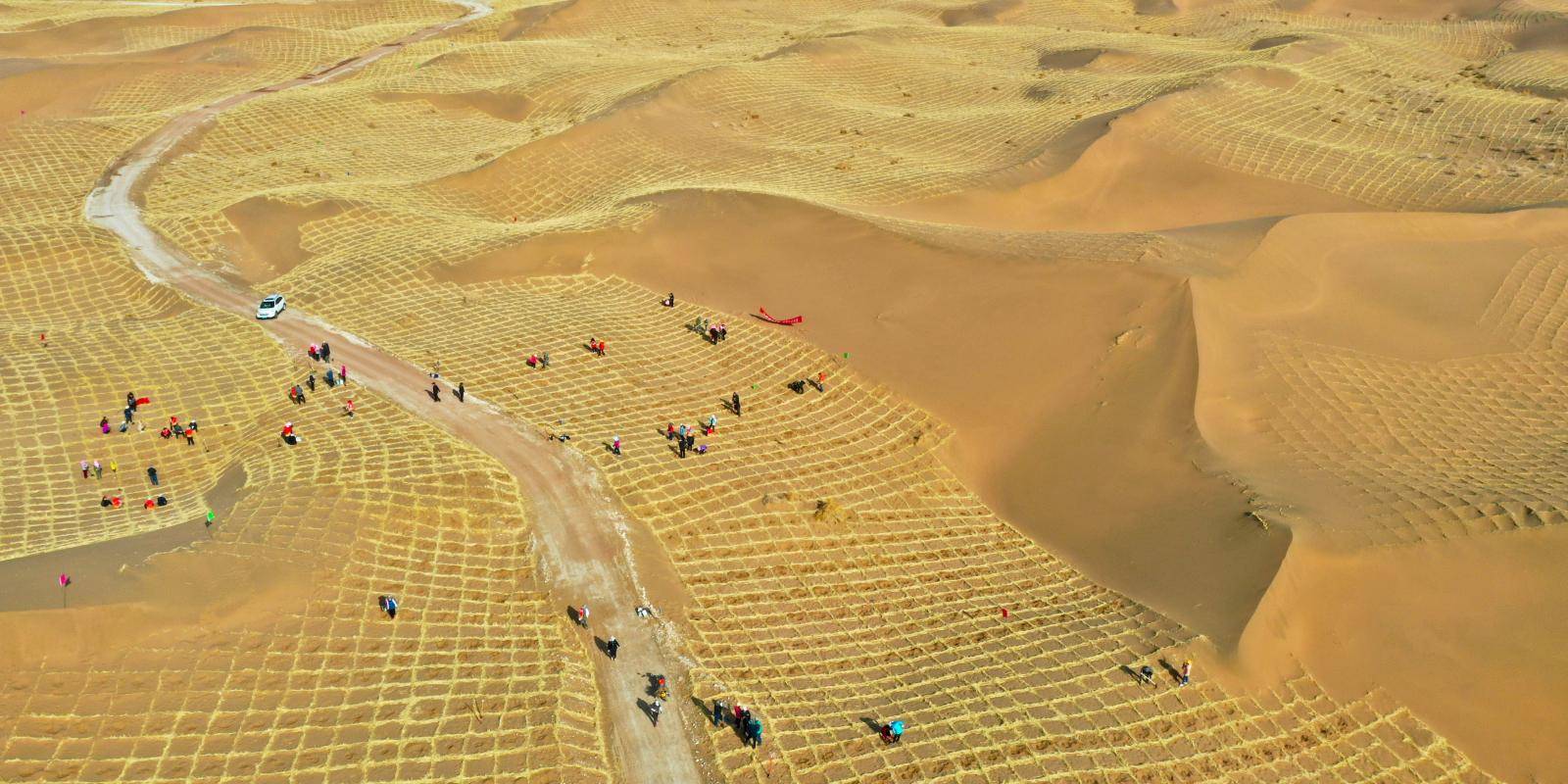 Aerial view of people planting trees against yellow sand dunes in China's Baidan Jaran desert