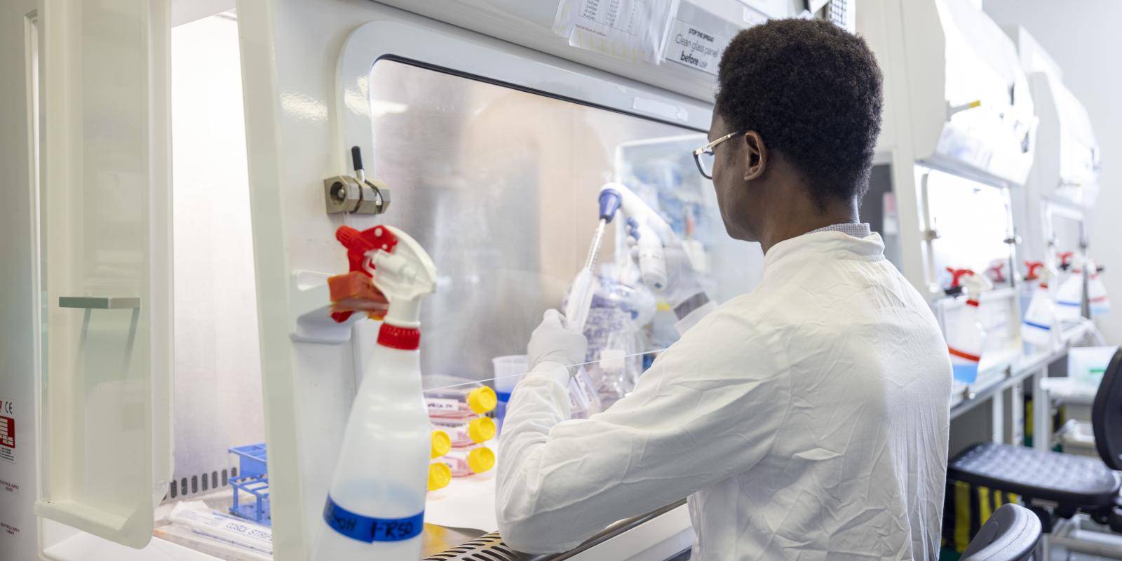 A lab worker wearing protective gloves sitting at a workstation