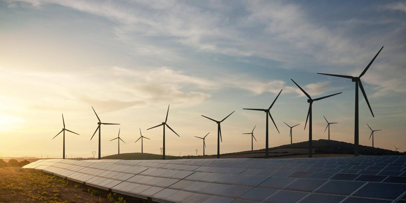 Field of wind turbines and solar panels against a sunset 