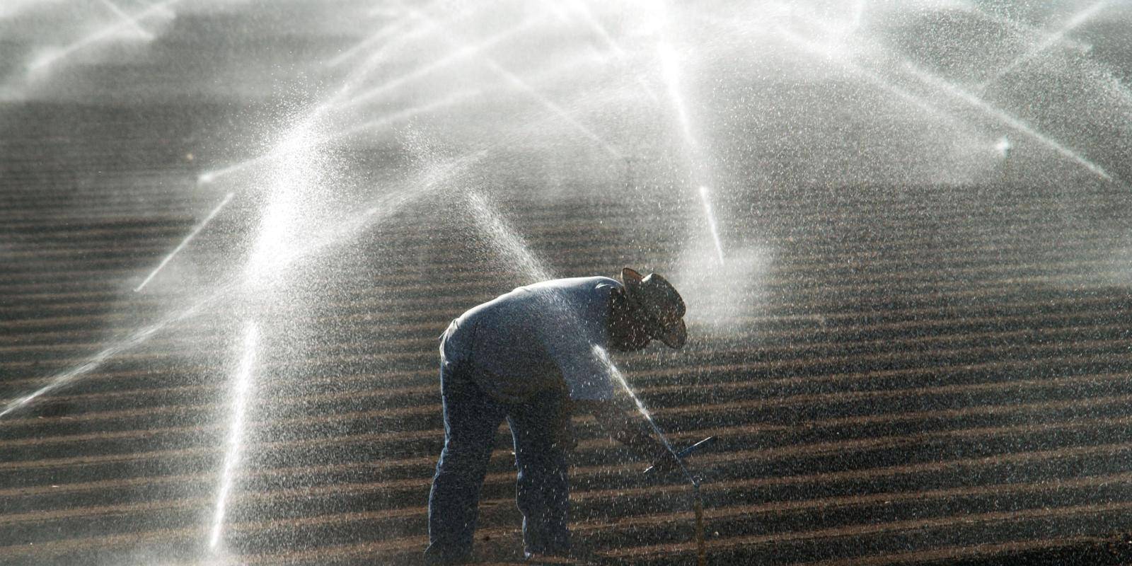 A farmer stands in the middle of a ploughed field, adjusting a sprinkler beneath him while other sprinklers spray water in the background