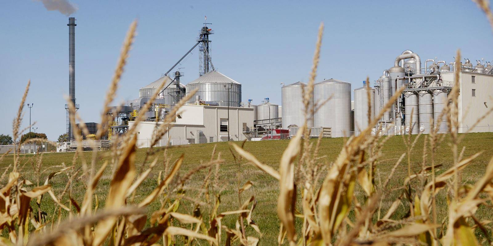 Corn grows near an ethanol plant near Lena, Illinois, in 2004. Photo credit: Copyright © Scott Olson/Getty