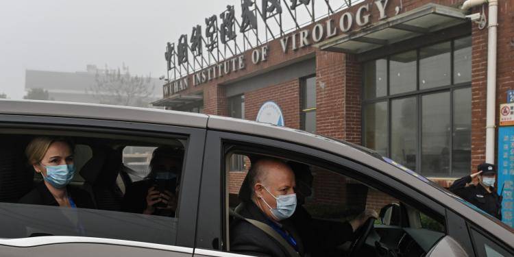 Members of the World Health Organization (WHO) team investigating the origins of the COVID-19 coronavirus, arrive at the Wuhan Institute of Virology in Wuhan in China's central Hubei province.