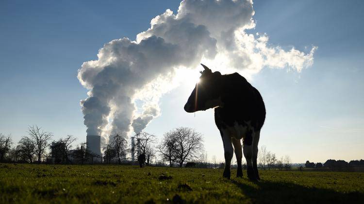 RWE Niederaussem coal-fired power plant cooling towers near Bergheim, Germany. Photo by Volker Hartmann/Getty Images.