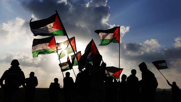 Palestinian flags