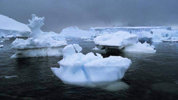 Paradise Bay, Antarctica, in 1981. 