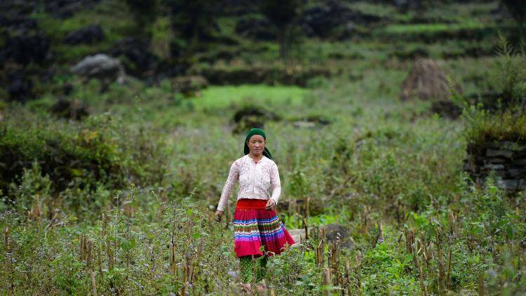 A Vietnamese teenager walking through a field 
