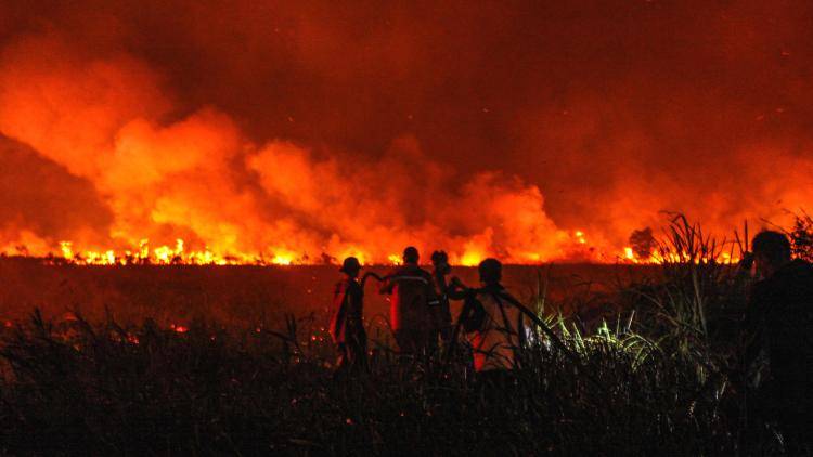 Firefighters try to extinguish the wildfire that broke out in South Sumatera, Indonesia on 14 September 2023. Indonesian authorities are struggling to put out forest and land fires that have been engulfing many parts of the country, including fire-prone regions in Sumatra and Borneo, as the country enters the hottest day of this year's El Nino-induced dry season. 