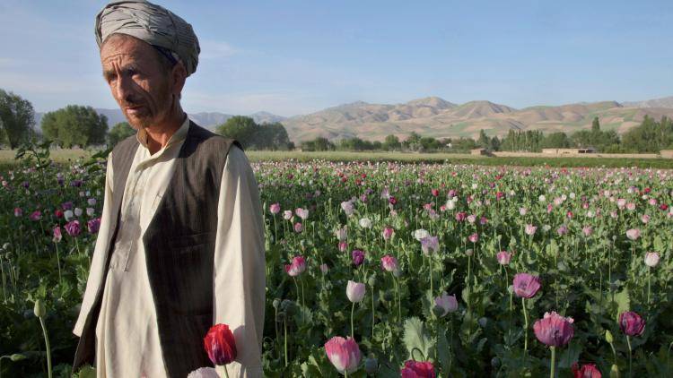 An Afghan poppy farmer from Faizabad, Badakhshan province. Photo: Paula Bronstein/Getty Images