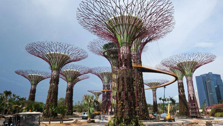 Singapore’s Garden by the Bay. Photo: Getty Images