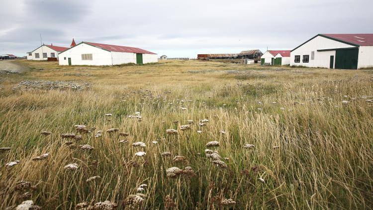 Goose Green, the site of a decisive battle in the Falklands conflict