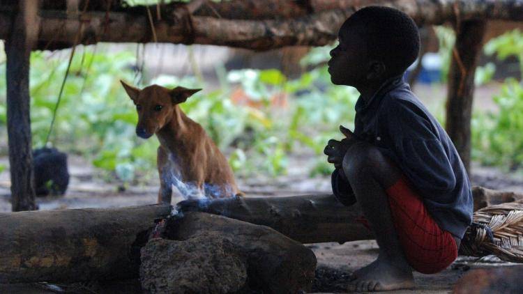 A child sits under a shelter in a temporary settlement in Rougan, Central African Republic