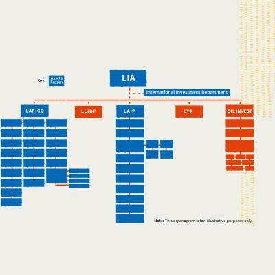 Illustration of an organogram of LIA - all unnamed levels revealed