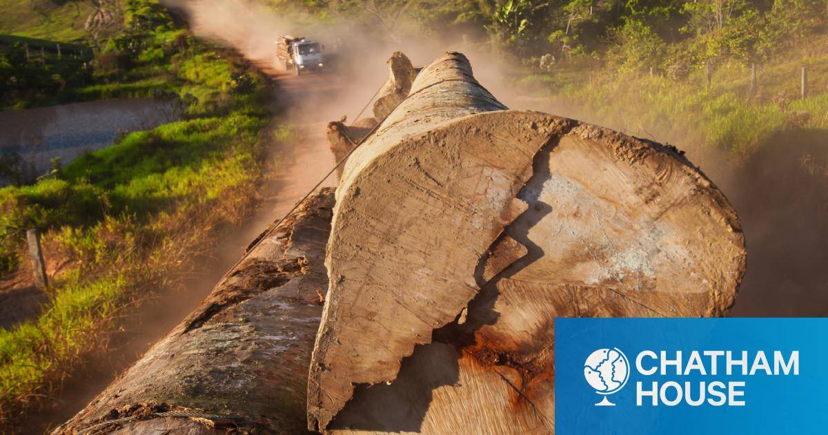 Tackling Illegal Logging and the Related Trade What Progress and Where