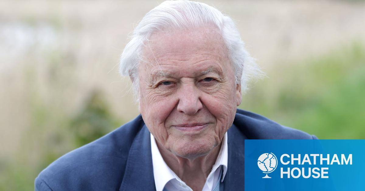 Tog Hjælp smal Sir David Attenborough and the BBC Studios Natural History Unit awarded  Chatham House Prize 2019 for ocean advocacy | Chatham House – International  Affairs Think Tank
