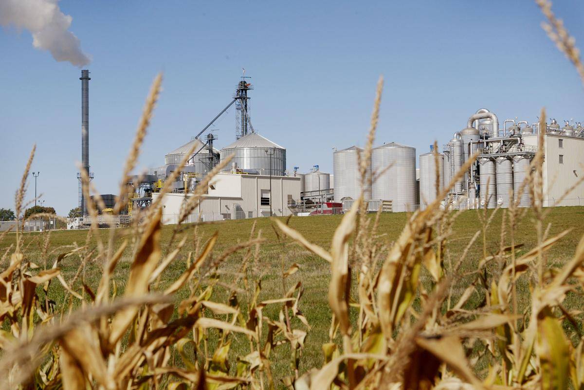 Corn grows near an ethanol plant near Lena, Illinois, in 2004. Photo credit: Copyright © Scott Olson/Getty
