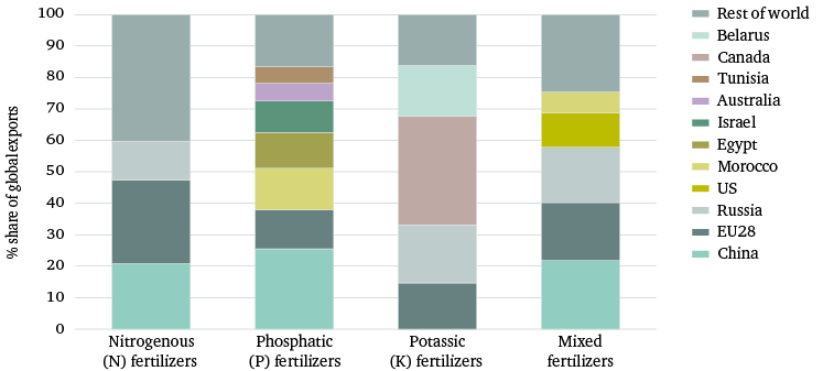 Figure 4: Concentration of global fertilizer exports, by producer