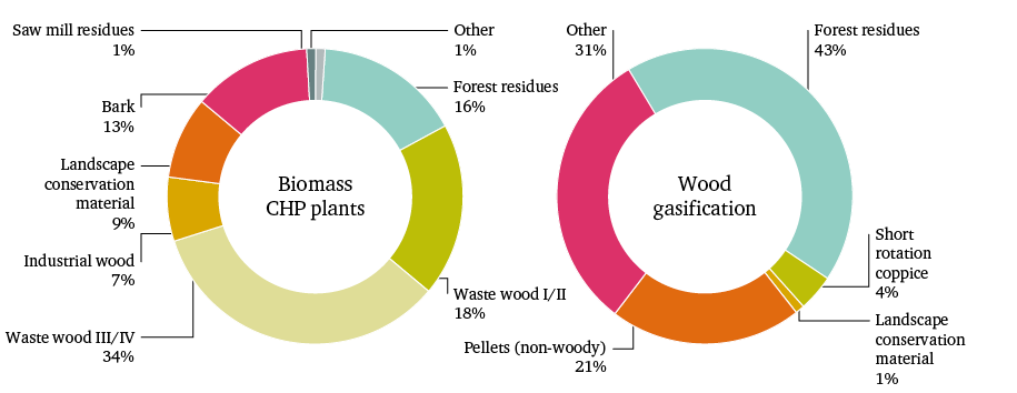 Figure 14: Biomass resources in solid biomass CHP plants in 2013