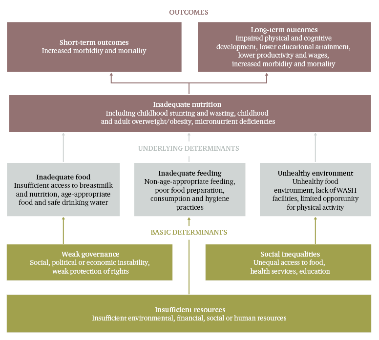 Figure 1: Determinants and outcomes of malnutrition