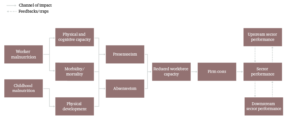 Figure 13: Impact channel framework used to model the cost malnutrition poses to business