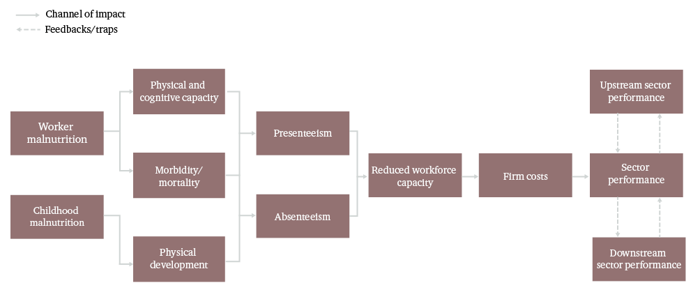 Figure 3: The impact channel framework summarizes the mechanisms by which malnutrition imposes costs on business