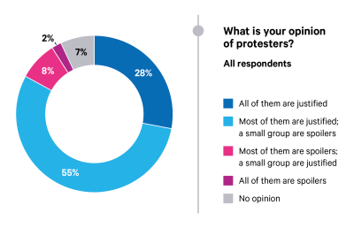 Iraq Survey - What is your opinion of protestors?