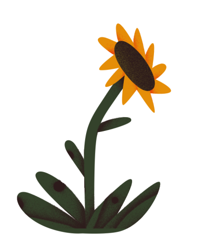 An illustration of a flower