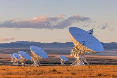 Photo by Kenny Tong / Shutterstock.