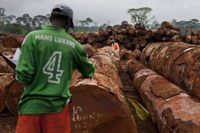 Pallisco logging company's FSC timber operations in Mindourou, Cameroon. Photo by Getty Images.