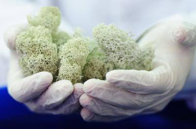 High-level complex of physiologically active antibiotic substance extracted from blastema at the Arctic Innovation Center (AIC) of Ammosov, North-Eastern Federal University (NEFU) in Yakutsk. Photo: Yuri Smityuk/ITAR-TASS Photo/Corbis.