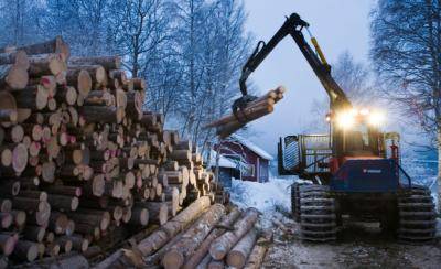 Logging in Sweden: the Nordics mainly sell to northwestern Europe. Photo: Getty Images/Nordic Photos