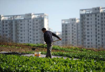 A farmer at work on the outskirts of Hefei, Anhui Province