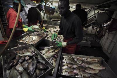 While most countries do not have the capacity to accurately assess fishing in their waters, local people are reporting reduced catches. Photo: National Geographic/Getty Images