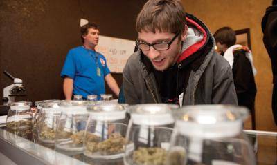 A customer picks marijuana strai