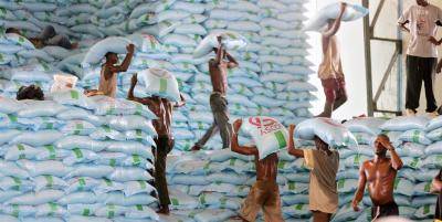 Rice is Guinea's staple cereal yet despite its rich soil the country still has to import 300,000 tonnes a year to feed its people. Photo: AFP/Getty Images