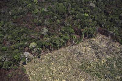 Clearance in the Amazon rainforest. Photo via Getty Images.