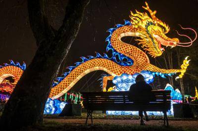 A giant lantern depicting a dragon at a Chinese lantern festival in Gaillac, France on 12 December. Photo: Getty Images.