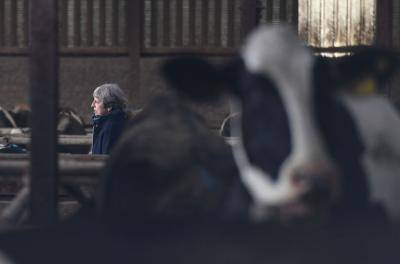 Theresa May visits a farm in Bangor, Northern Ireland. Photo: Getty Images.