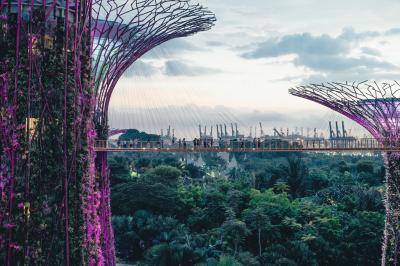 Photo by Annie Spratt, ‘High in the SuperTrees’ via Unsplash, 2017
