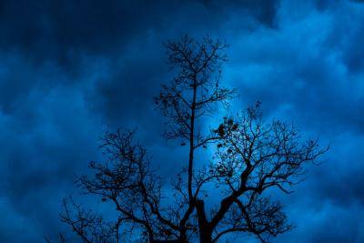 Storm in Dhaka. Photo: Getty Images.