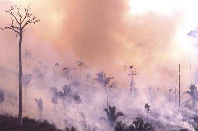 View of the Amazon rainforest in smoke. Photo: Getty Images. 