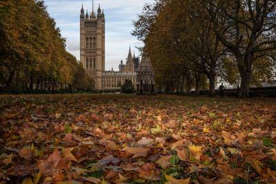 The Houses of Parliament in autumn. Photo: Getty Images.