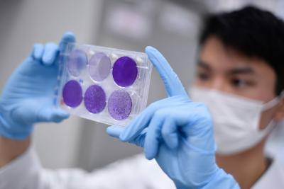 Researcher in Brazil working on virus replication in order to develop a vaccine against the coronavirus. Photo by DOUGLAS MAGNO/AFP via Getty Images.