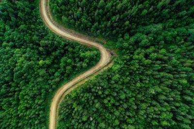 An aerial view of forest area in the Ternei District in Primorye Territory in the far east of Russia located along the country's border with Asia. Photo: Getty Images.