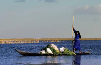 Punting in the marshes south of the Iraqi city of Ammarah. Photo by Ghaith Abdul-Ahad/Getty Images.