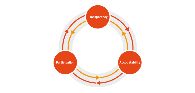Figure 1. The interactions between transparency, participation and accountability